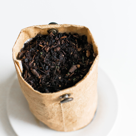 Soken Tea Masters